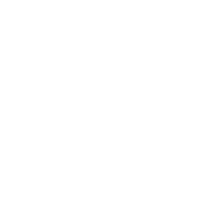 Website Development Icon